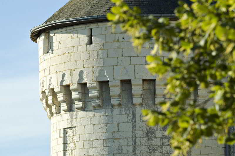 Chateau De Marcay Exterior photo